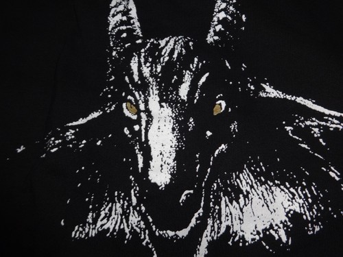 Black metal hoodie venom - hoodie,